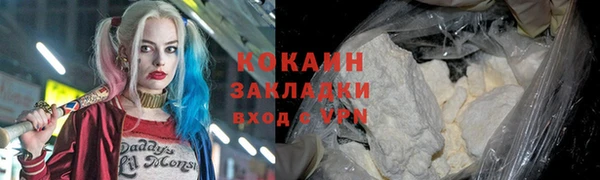 стаф Алзамай