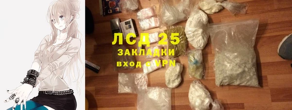 стаф Алзамай