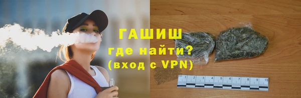 стаф Алзамай
