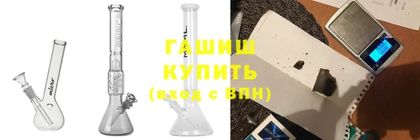 стаф Алзамай