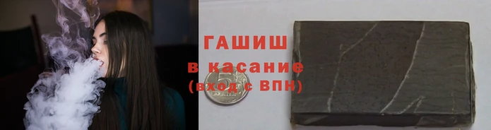 стаф Алзамай
