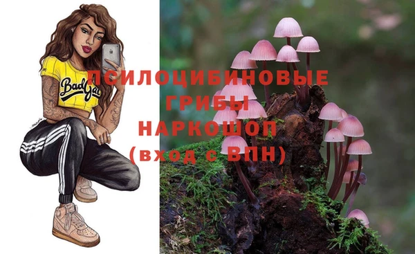 стаф Алзамай