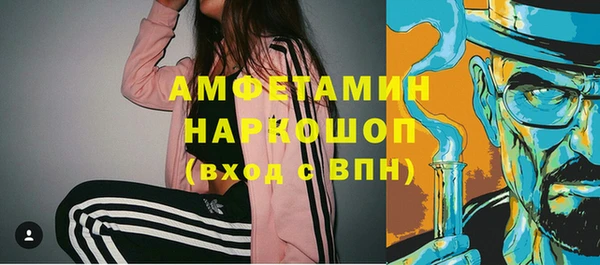 стаф Алзамай