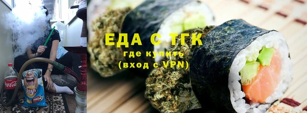 стаф Алзамай