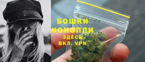 индика Мегион