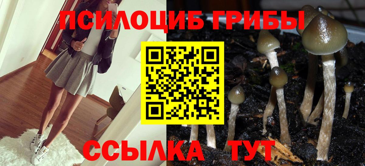 Находка  Галлюциногенные грибы Magic Shrooms  закладки  Вход с VPN 