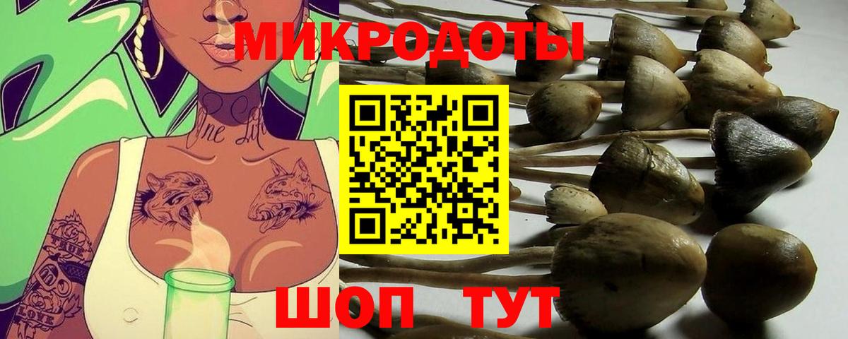 Галлюциногенные грибы MAGIC MUSHROOMS Находка